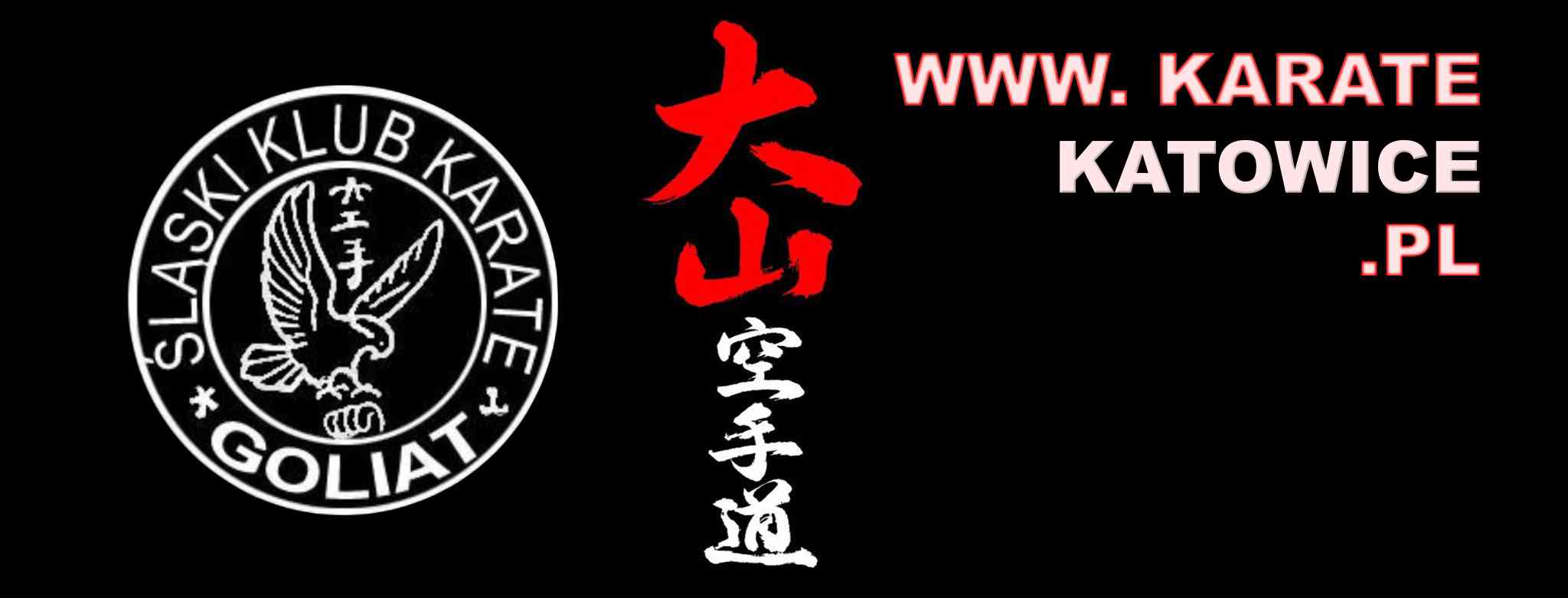 Goliat Karate Silesian Fight Club